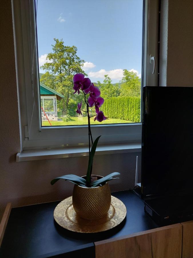 La Reina Una Bihać 外观 照片